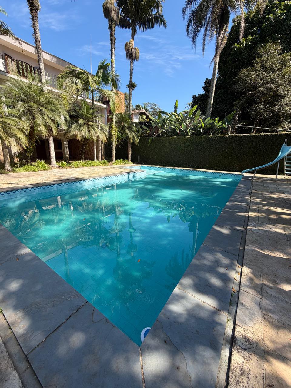 Piscina cercada por palmeiras no Vancouver Garden